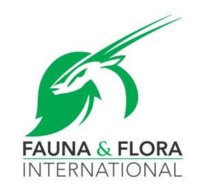 FFI Logo